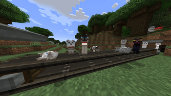 Banner