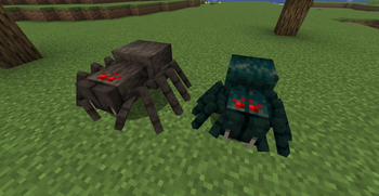 Spider and Pixel-Consistent Cave Spider