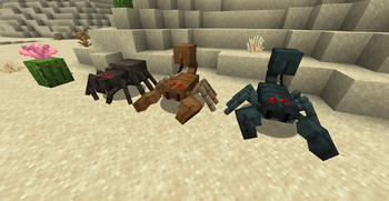 Desert Scorpions