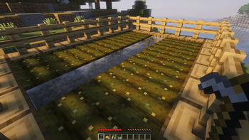 Auto Feed Animals