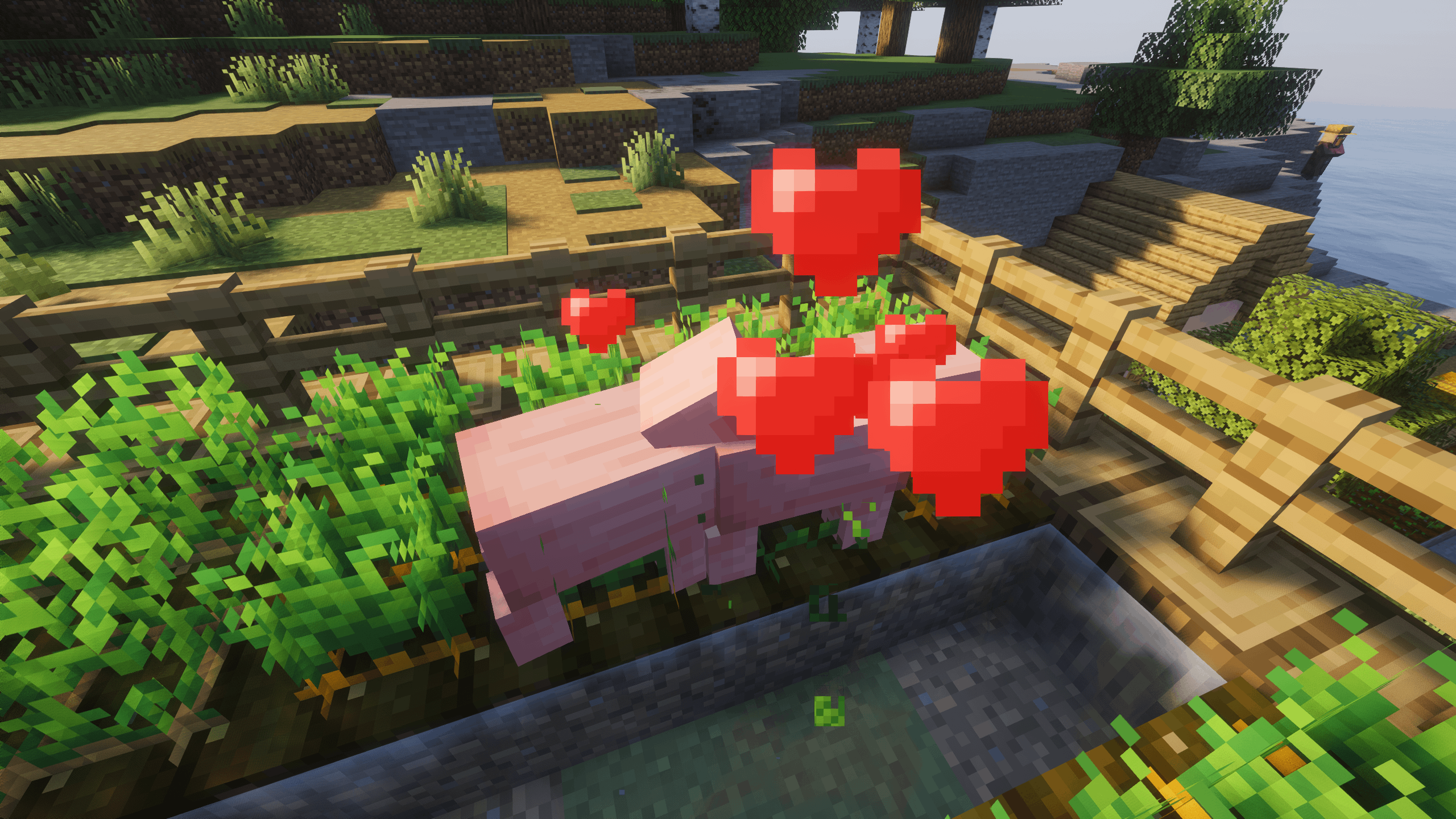 screenshots 1