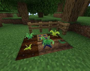 Garden of Regular and Shiny Oddrakes