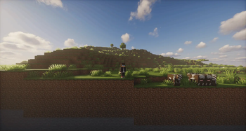 Plains