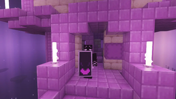 Ender Shield