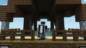 Sword Shield