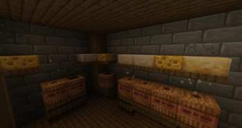 An aging cellar