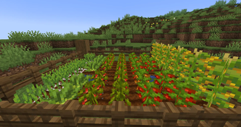 A plentiful farm