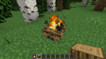 Making Charcoal