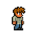 THE GUY