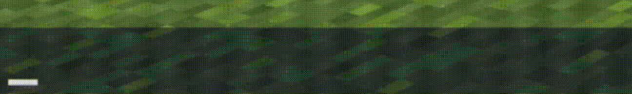 Drop animation [Default]