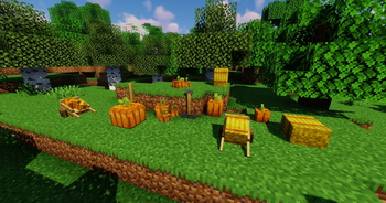 Autumn Decorations