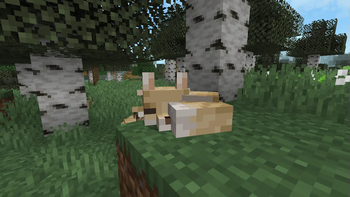 Sleeping Cream Fox