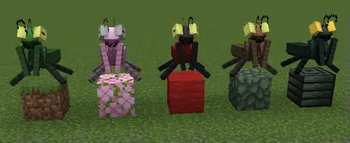 Mantises