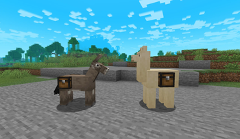 New chests on mobs