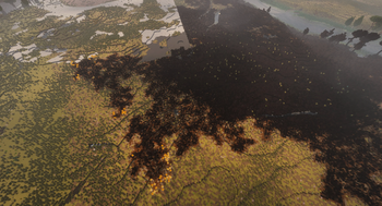 Wildfire