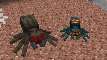 Spiders
