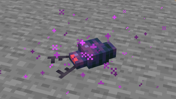 Mite