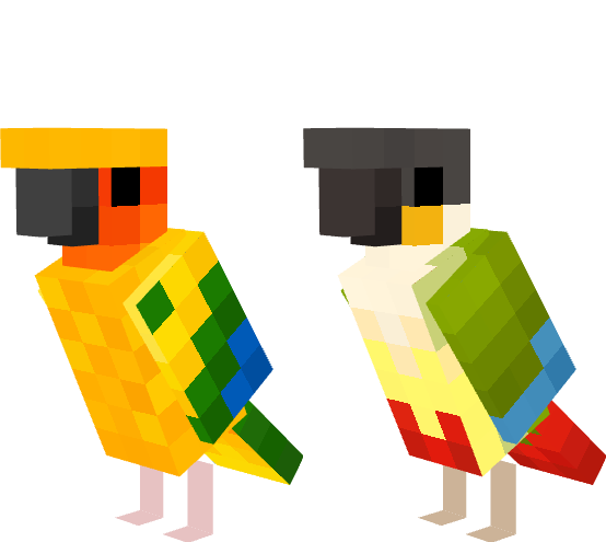 Conures