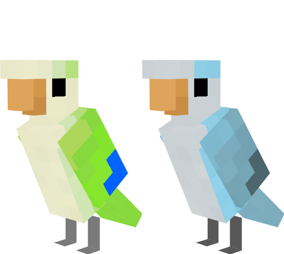 Quaker Parrot/Monk Parakeet