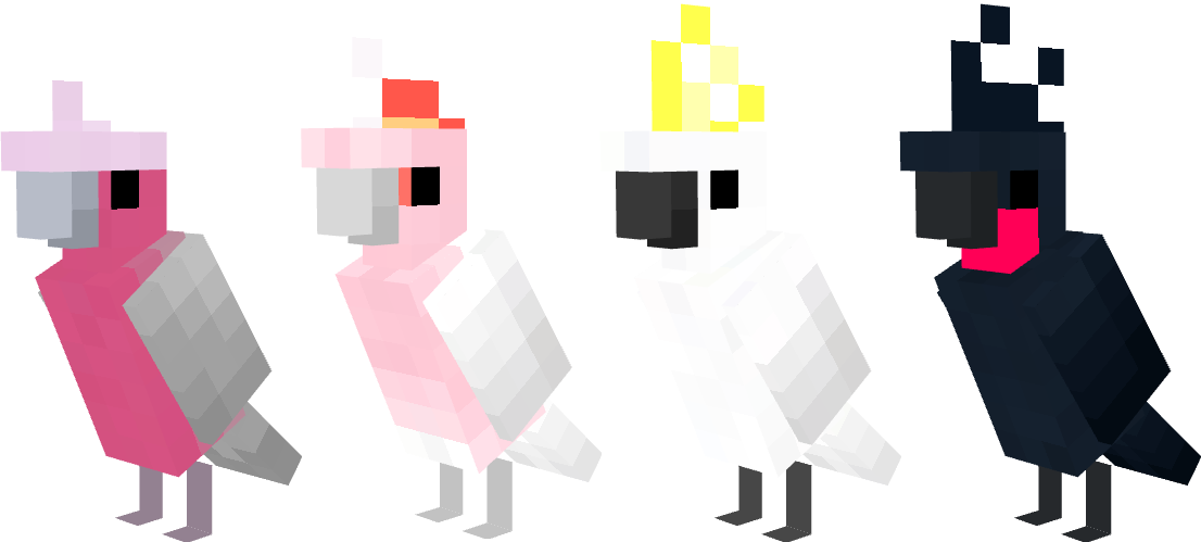 Cockatoos