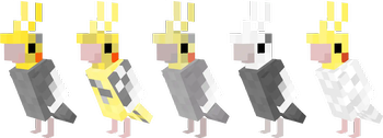 Cockatiels