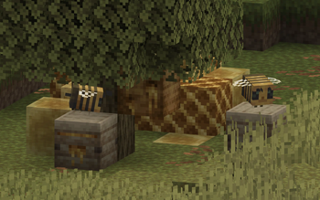 bees, honey