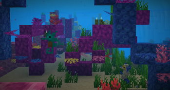Seahorse