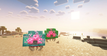 Metroids on the beach