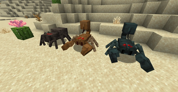 Desert Scorpions