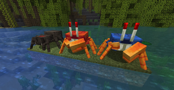 Crab in Rivers and Fiddler Crab in Mangrove Swamps