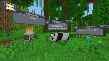 Bamboo Adventure 
