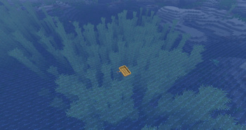 Kelp From Above