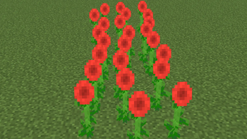 Red sunflowers