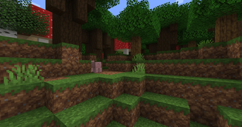 Logs & Dirt