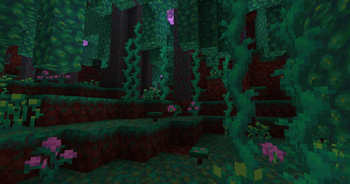 Warped Forest
