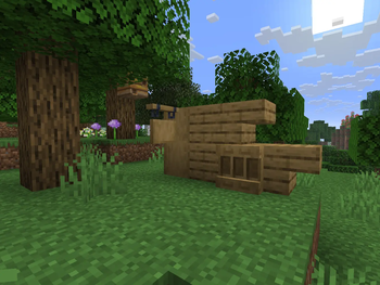 Oak - Before