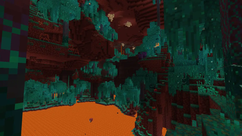 Warped Forest