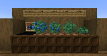 The Blueberry Bush