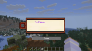 Viewing a Name Tag