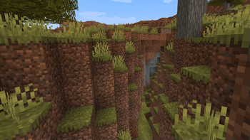 Savanna Ravine