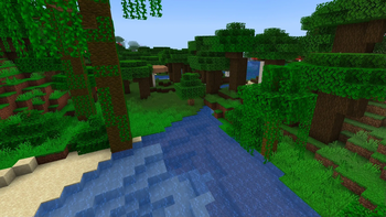 Dark Forest in Jungle