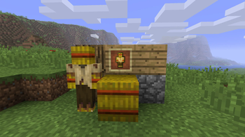 with resource pack