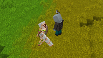 With Resource-Pack