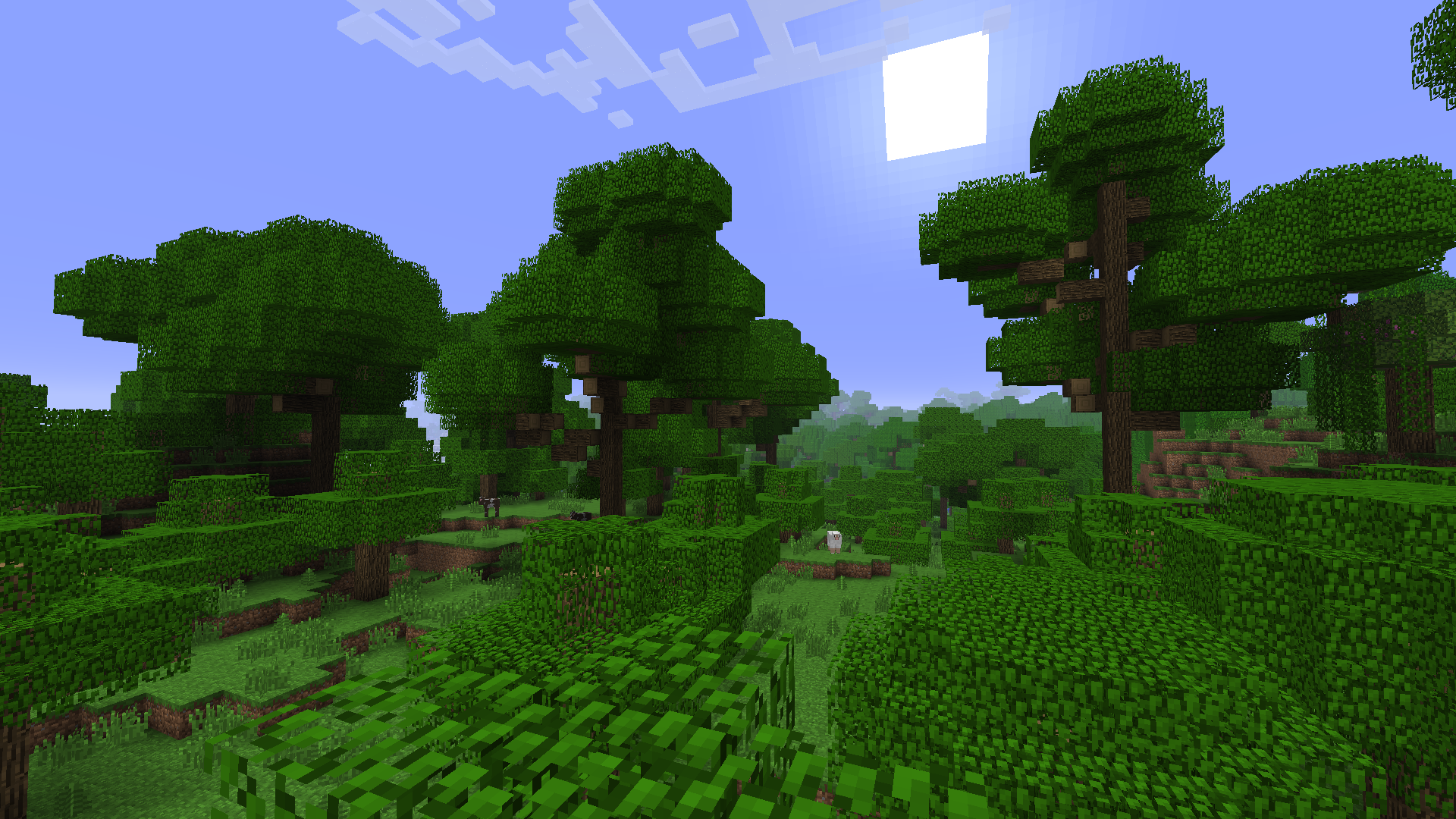 Beta-Style rainforest
