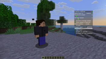 WI Freecam 1.0