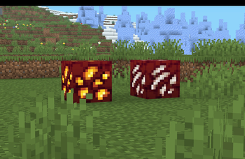 Nether Ores
