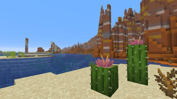 Two flowers!