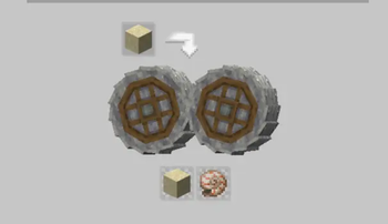 Nautilus Shell