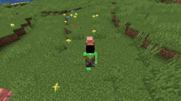 Pig Animation