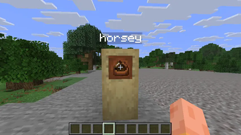 Horse Pocket Item